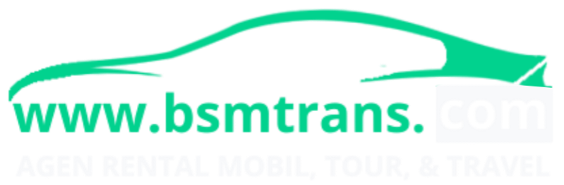 logo bsmtrans